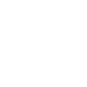 flag icon